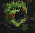 Bibliography supplemental information icon